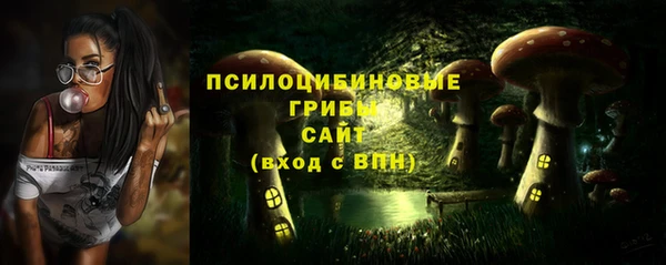 PSILOCYBIN Арсеньев