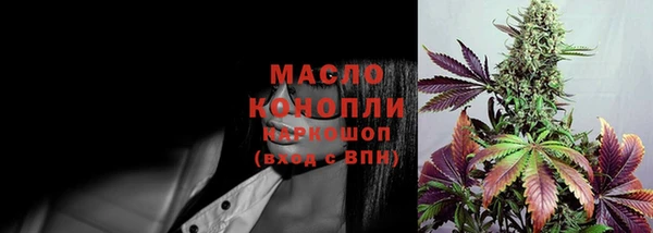 гашик Костерёво