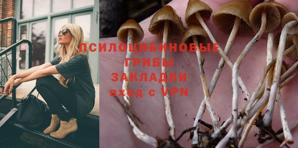 PSILOCYBIN Арсеньев