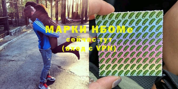прущие грибы Наволоки