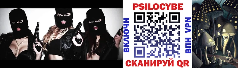 Галлюциногенные грибы Psilocybe  закладка  Адыгейск 